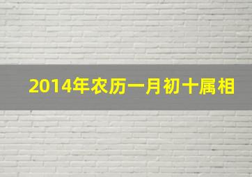 2014年农历一月初十属相