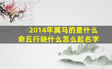 2014年属马的是什么命五行缺什么怎么起名字