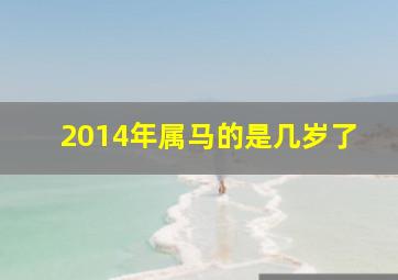 2014年属马的是几岁了