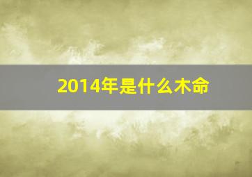 2014年是什么木命