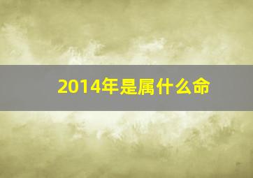 2014年是属什么命