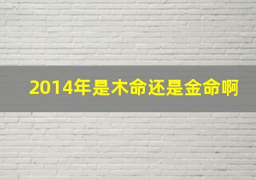 2014年是木命还是金命啊