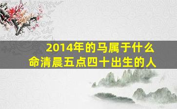 2014年的马属于什么命清晨五点四十出生的人