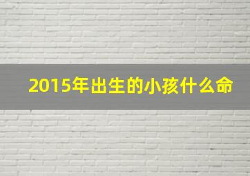 2015年出生的小孩什么命