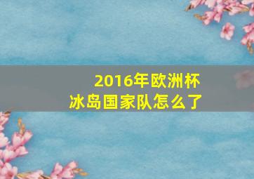 2016年欧洲杯冰岛国家队怎么了