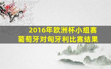 2016年欧洲杯小组赛葡萄牙对匈牙利比赛结果