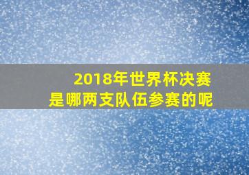 2018年世界杯决赛是哪两支队伍参赛的呢