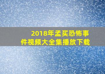 2018年孟买恐怖事件视频大全集播放下载