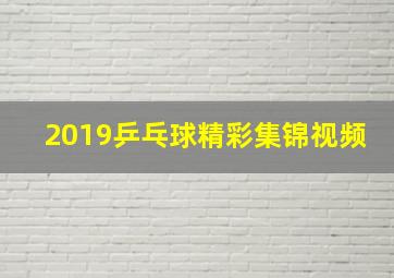 2019乒乓球精彩集锦视频