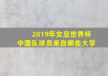 2019年女足世界杯中国队球员来自哪些大学