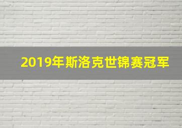 2019年斯洛克世锦赛冠军