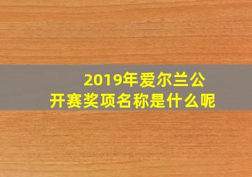 2019年爱尔兰公开赛奖项名称是什么呢