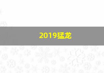 2019猛龙