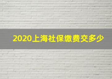 2020上海社保缴费交多少