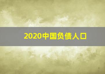 2020中国负债人口