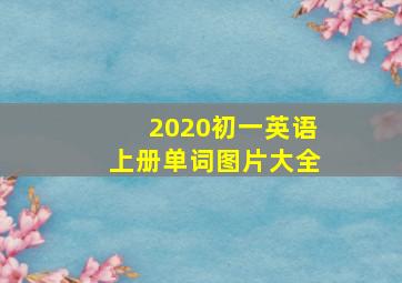 2020初一英语上册单词图片大全