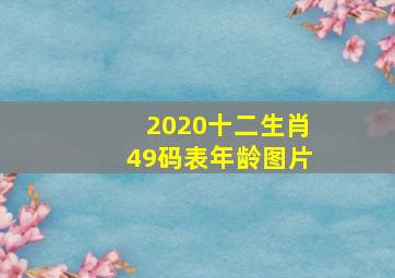 2020十二生肖49码表年龄图片