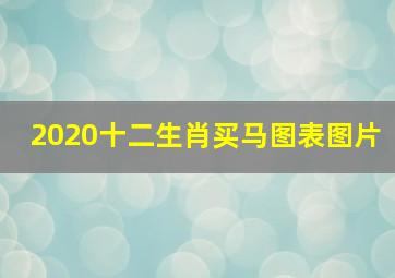 2020十二生肖买马图表图片