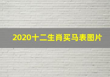 2020十二生肖买马表图片