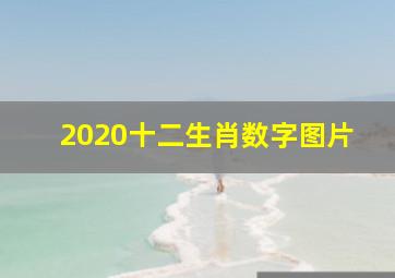 2020十二生肖数字图片