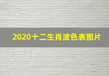 2020十二生肖波色表图片