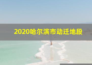 2020哈尔滨市动迁地段