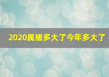 2020属猪多大了今年多大了