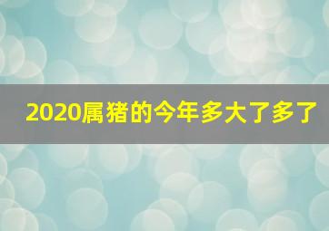 2020属猪的今年多大了多了