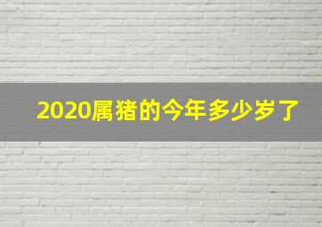 2020属猪的今年多少岁了