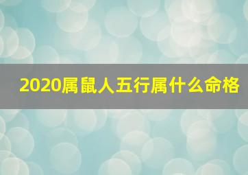 2020属鼠人五行属什么命格