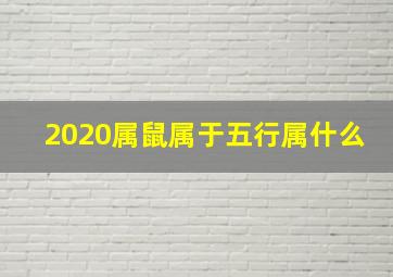 2020属鼠属于五行属什么