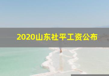 2020山东社平工资公布