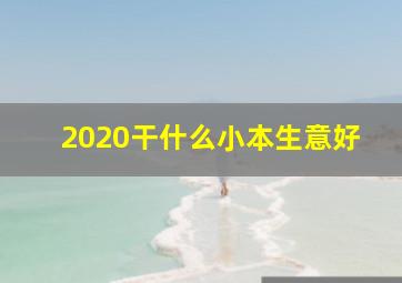 2020干什么小本生意好