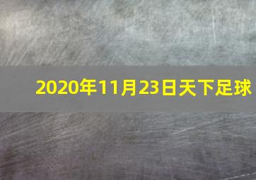 2020年11月23日天下足球