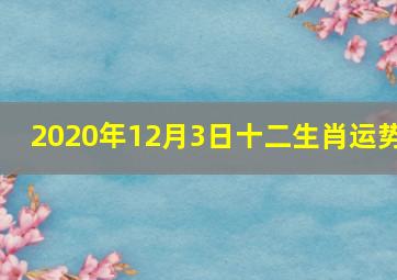 2020年12月3日十二生肖运势