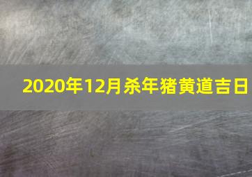 2020年12月杀年猪黄道吉日