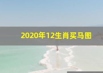 2020年12生肖买马图