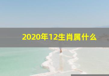 2020年12生肖属什么