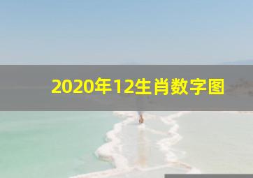 2020年12生肖数字图