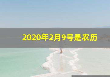 2020年2月9号是农历