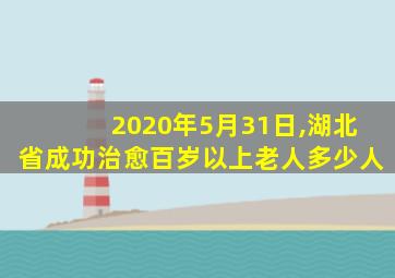 2020年5月31日,湖北省成功治愈百岁以上老人多少人