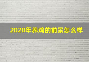 2020年养鸡的前景怎么样