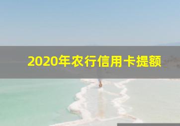 2020年农行信用卡提额