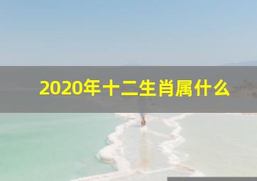 2020年十二生肖属什么