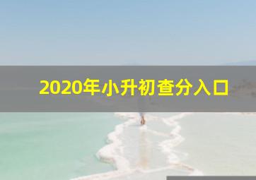 2020年小升初查分入口