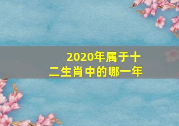 2020年属于十二生肖中的哪一年