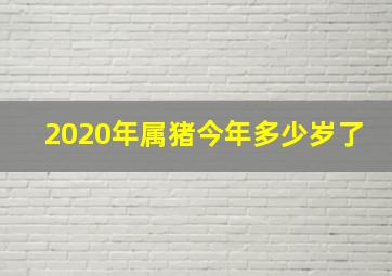 2020年属猪今年多少岁了