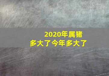 2020年属猪多大了今年多大了