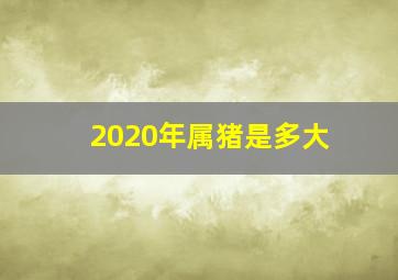 2020年属猪是多大