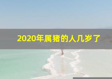 2020年属猪的人几岁了